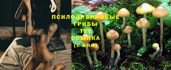 винт Вязьма